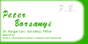 peter borsanyi business card